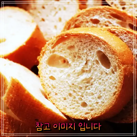 생활의달인 특집: 은둔식달 바케트 베이커리 달인에서 소개하는 압구정 강남 띠띠빵빵의 바게트 맛집