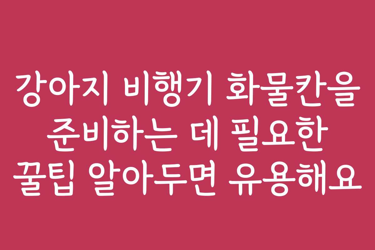 강아지 비행기 화물칸을 준비하는 데 필요한 꿀팁 알아두면 유용해요