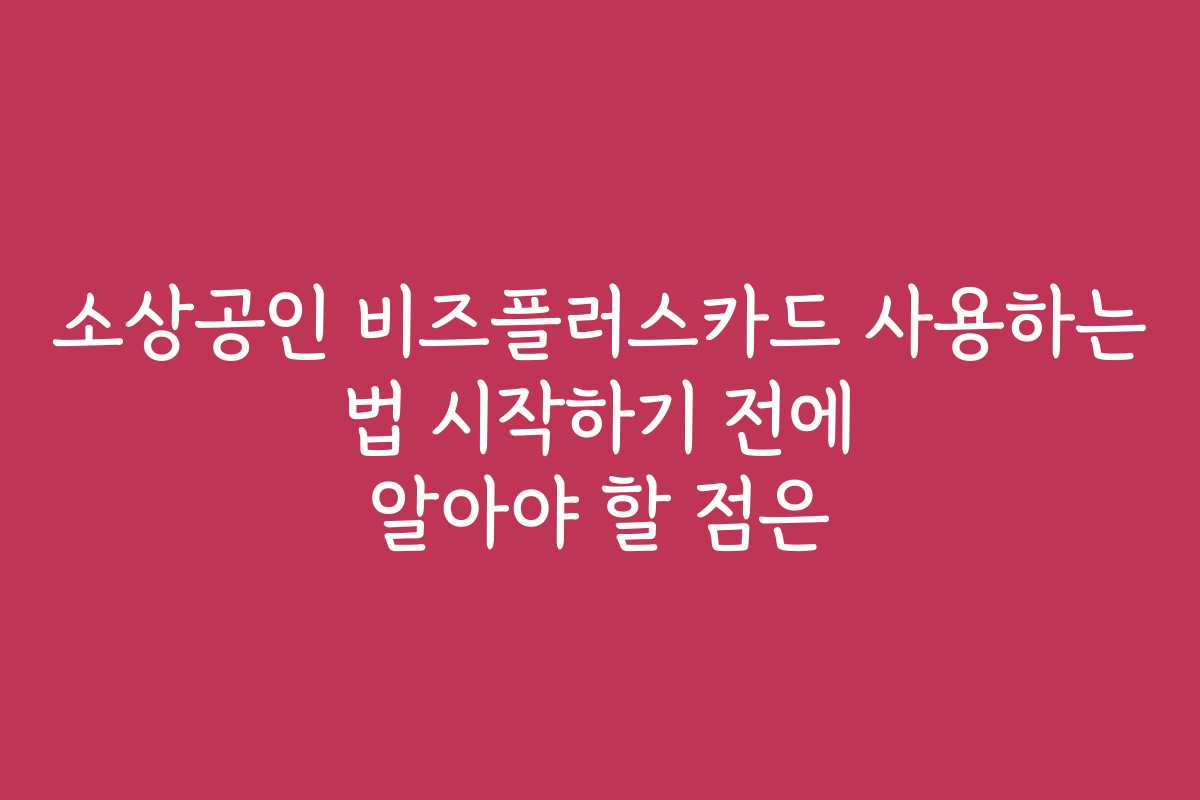 소상공인 비즈플러스카드 사용하는 법 시작하기 전에 알아야 할 점은