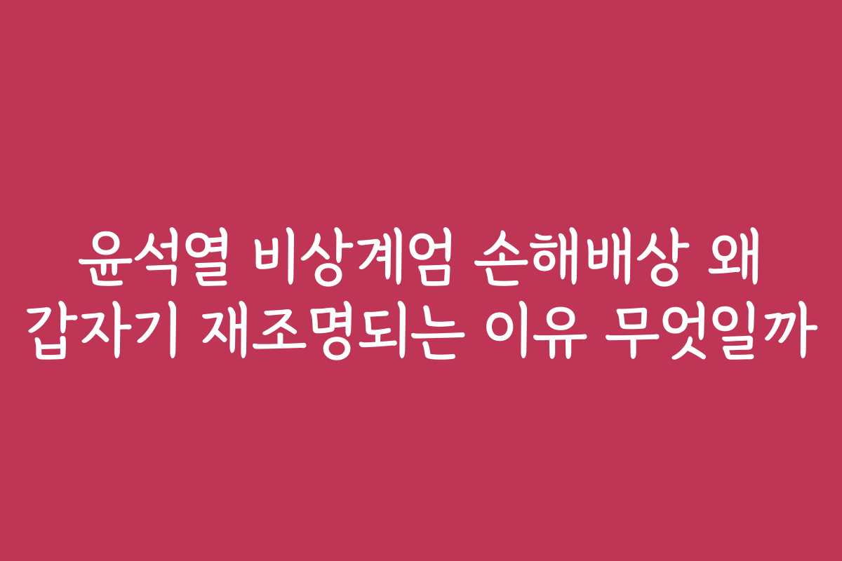 윤석열 비상계엄 손해배상 왜 갑자기 재조명되는 이유 무엇일까