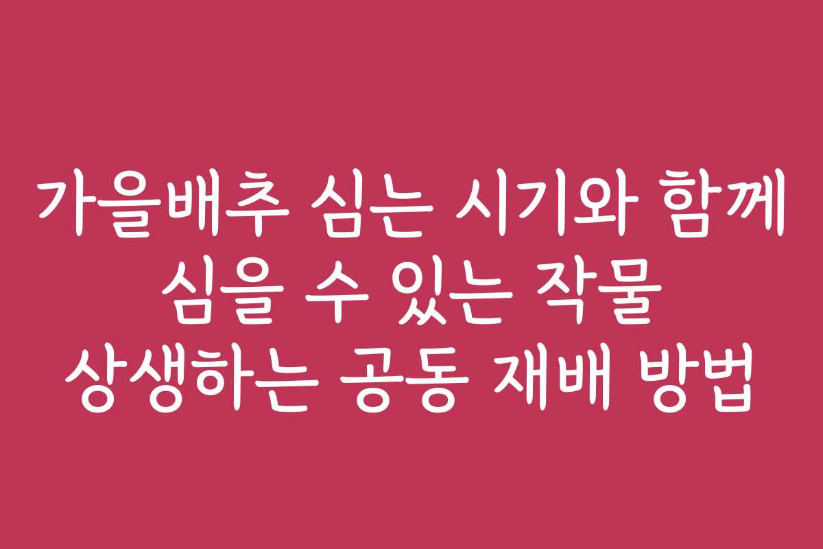가을배추 심는 시기와 함께 심을 수 있는 작물 상생하는 공동 재배 방법