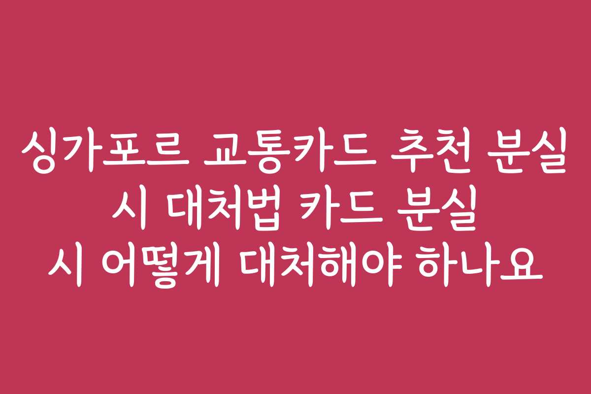 싱가포르 교통카드 추천 분실 시 대처법 카드 분실 시 어떻게 대처해야 하나요
