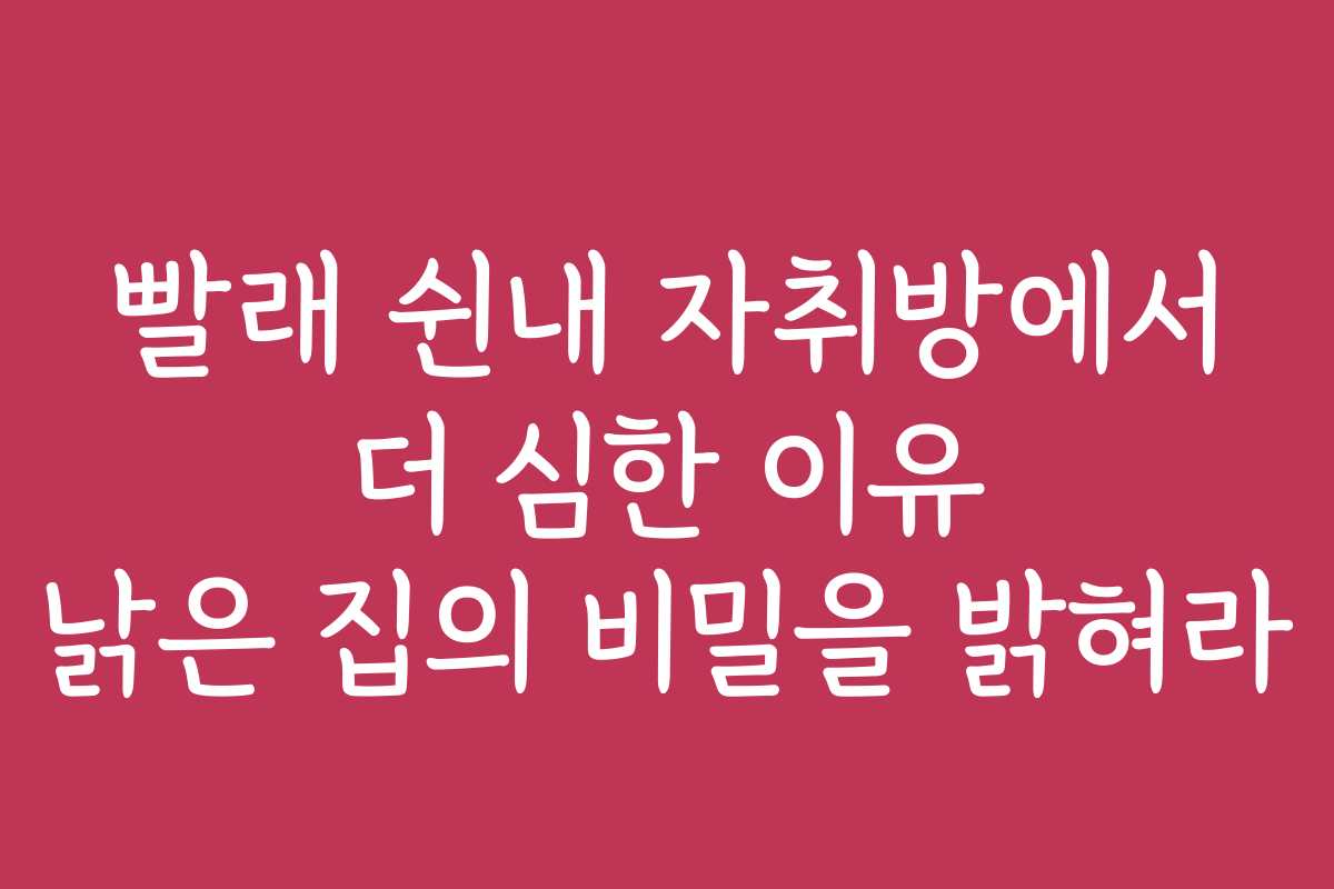빨래 쉰내 자취방에서 더 심한 이유 낡은 집의 비밀을 밝혀라
