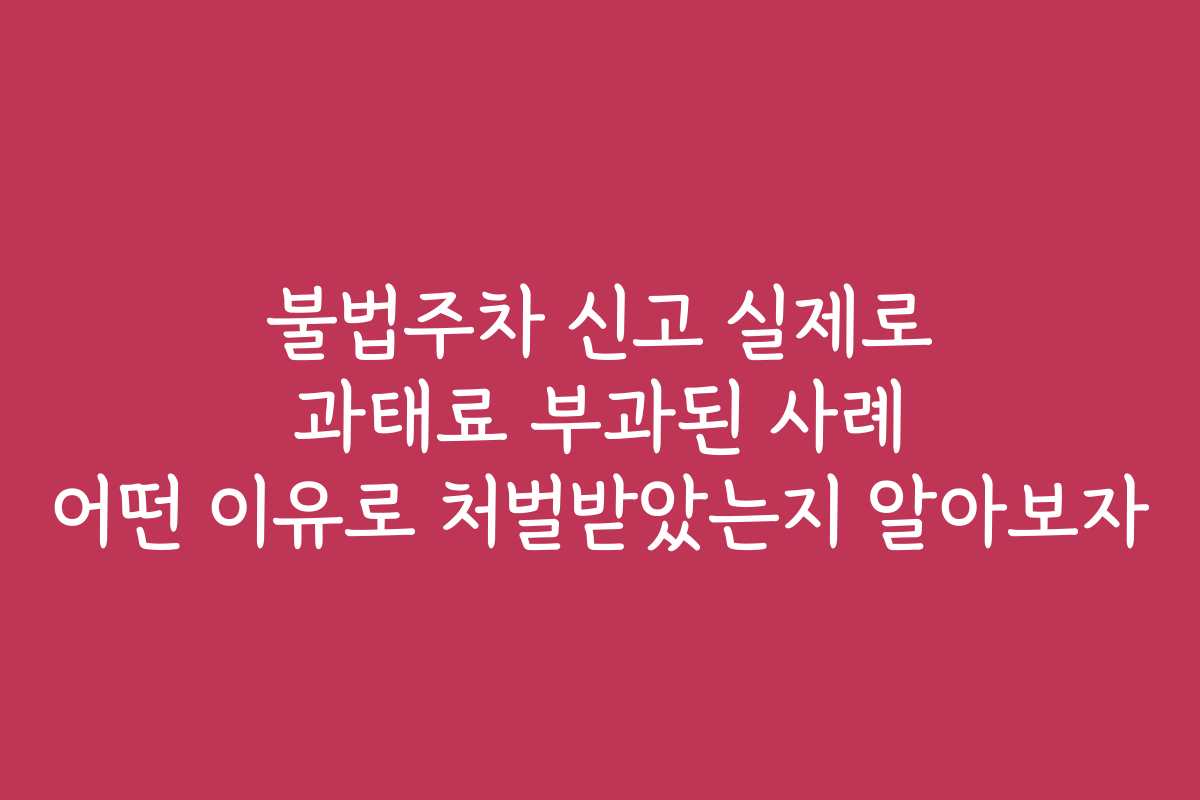 불법주차 신고 실제로 과태료 부과된 사례 어떤 이유로 처벌받았는지 알아보자