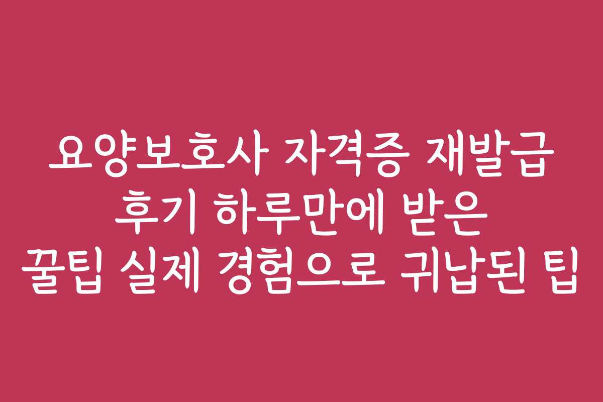 요양보호사 자격증 재발급 후기 하루만에 받은 꿀팁 실제 경험으로 귀납된 팁