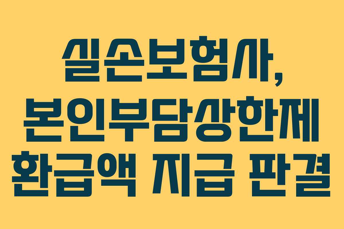 실손보험사, 본인부담상한제 환급액 지급 판결
