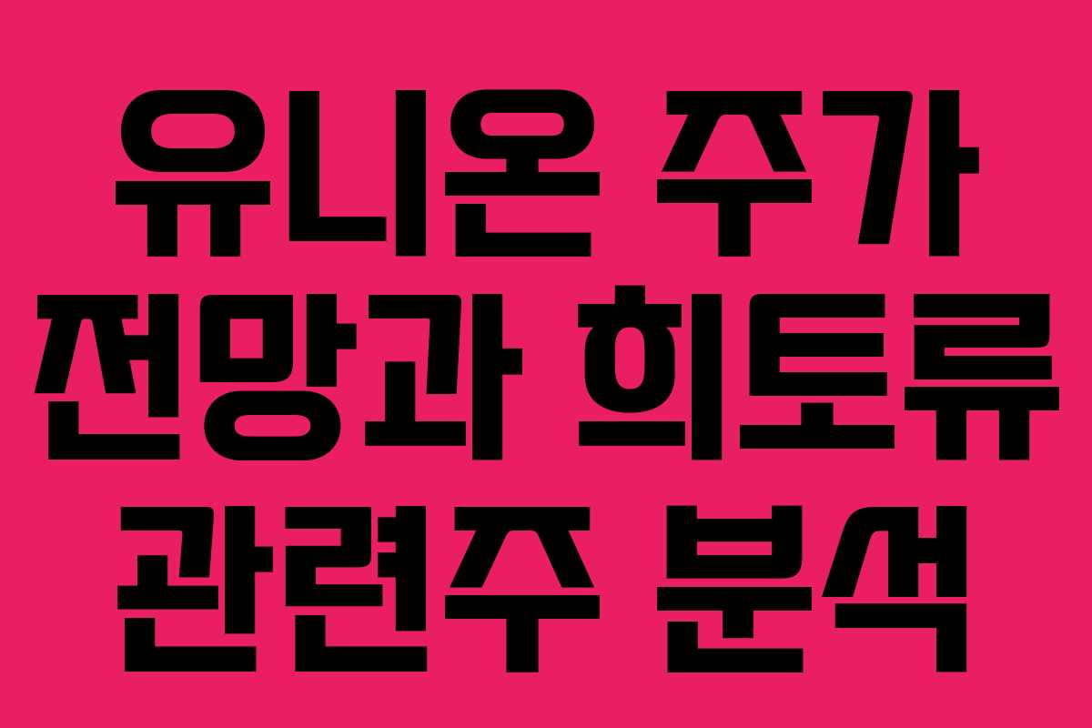 유니온 주가 전망과 희토류 관련주 분석