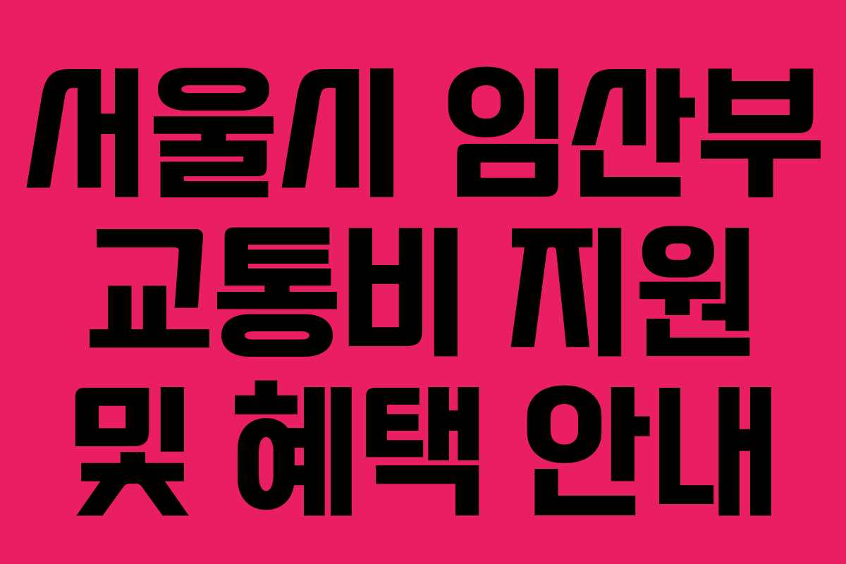 서울시 임산부 교통비 지원 및 혜택 안내