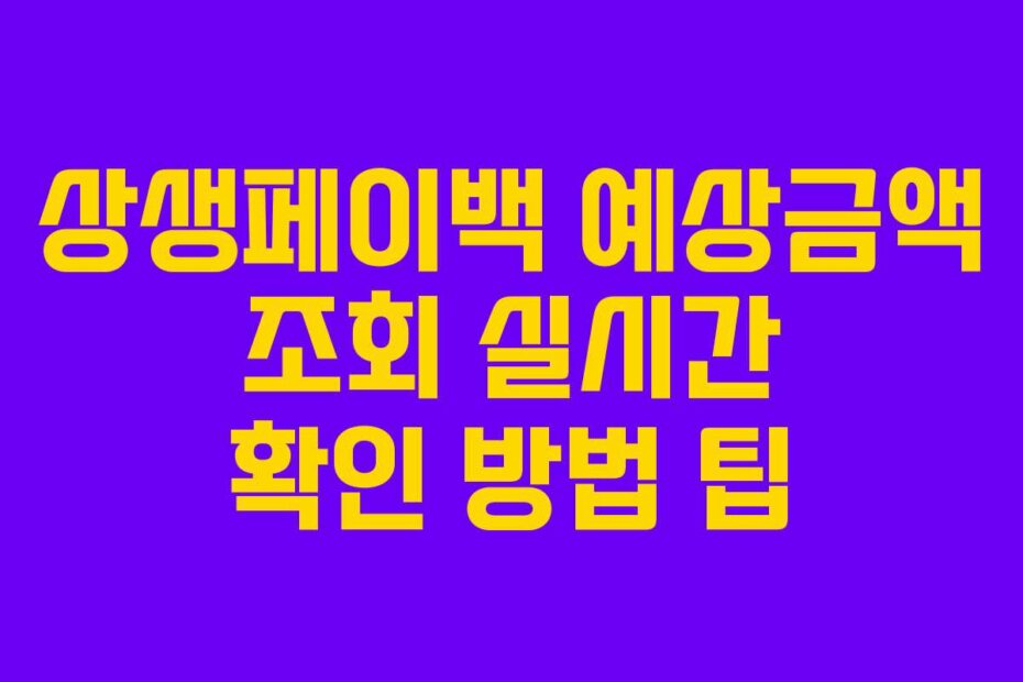 상생페이백 예상금액 조회 실시간 확인 방법 팁