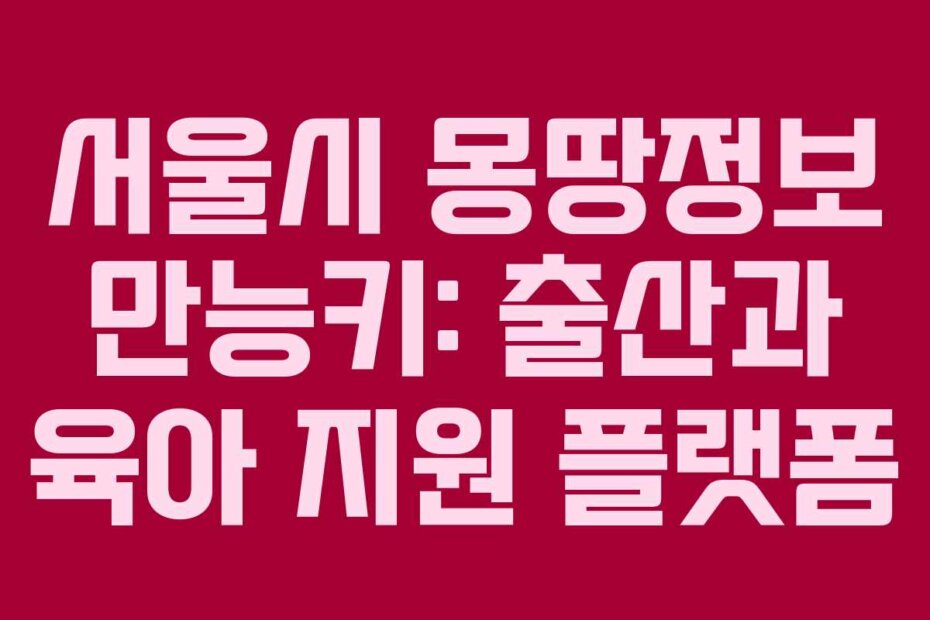 서울시 몽땅정보 만능키: 출산과 육아 지원 플랫폼