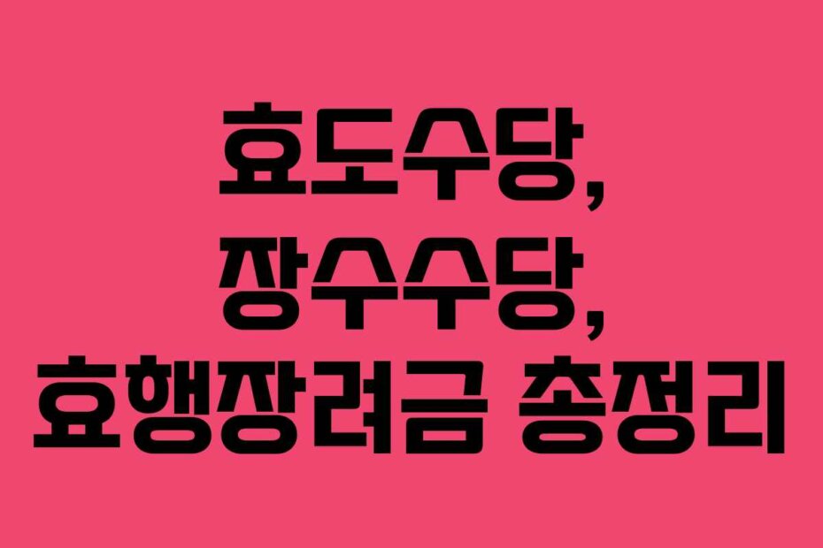 효도수당, 장수수당, 효행장려금 총정리