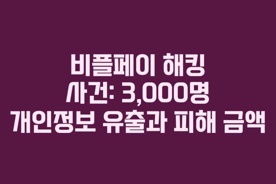 비플페이 해킹 사건: 3,000명 개인정보 유출과 피해 금액