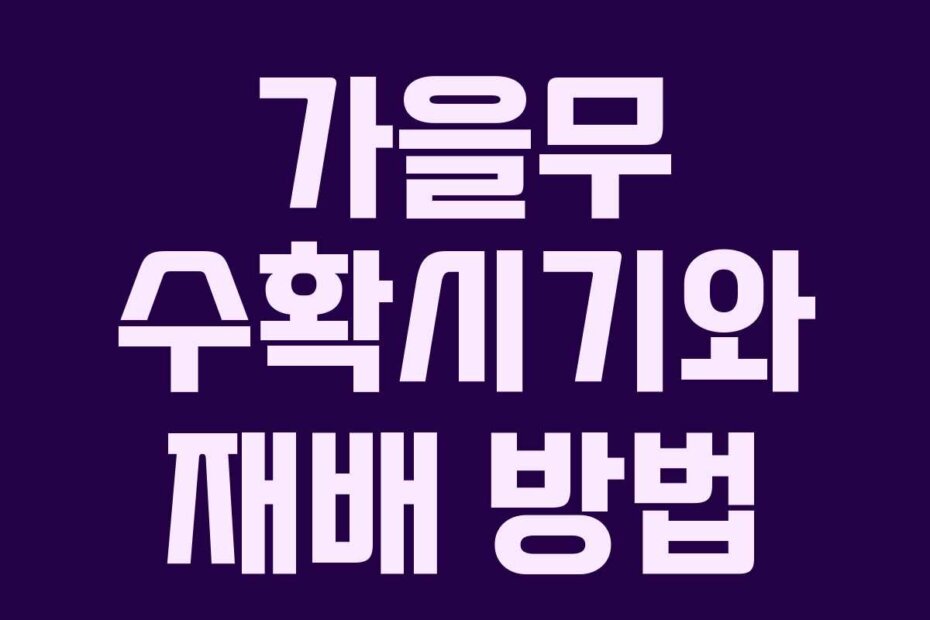 가을무 수확시기와 재배 방법