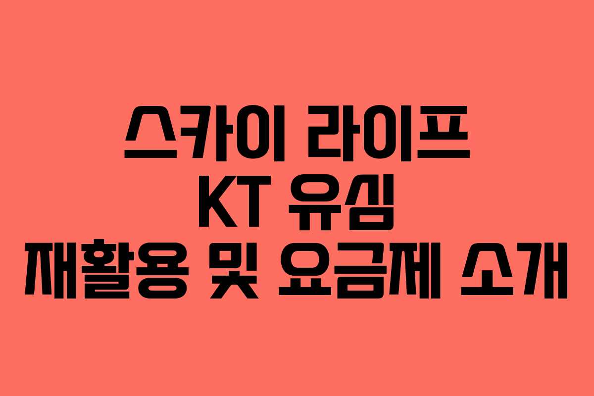 스카이 라이프 KT 유심 재활용 및 요금제 소개