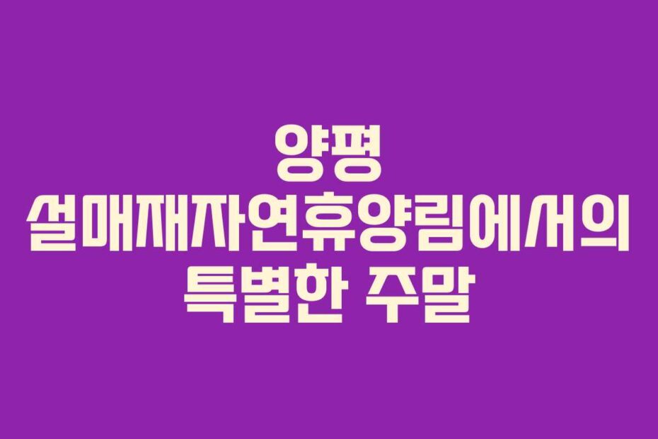 양평 설매재자연휴양림에서의 특별한 주말