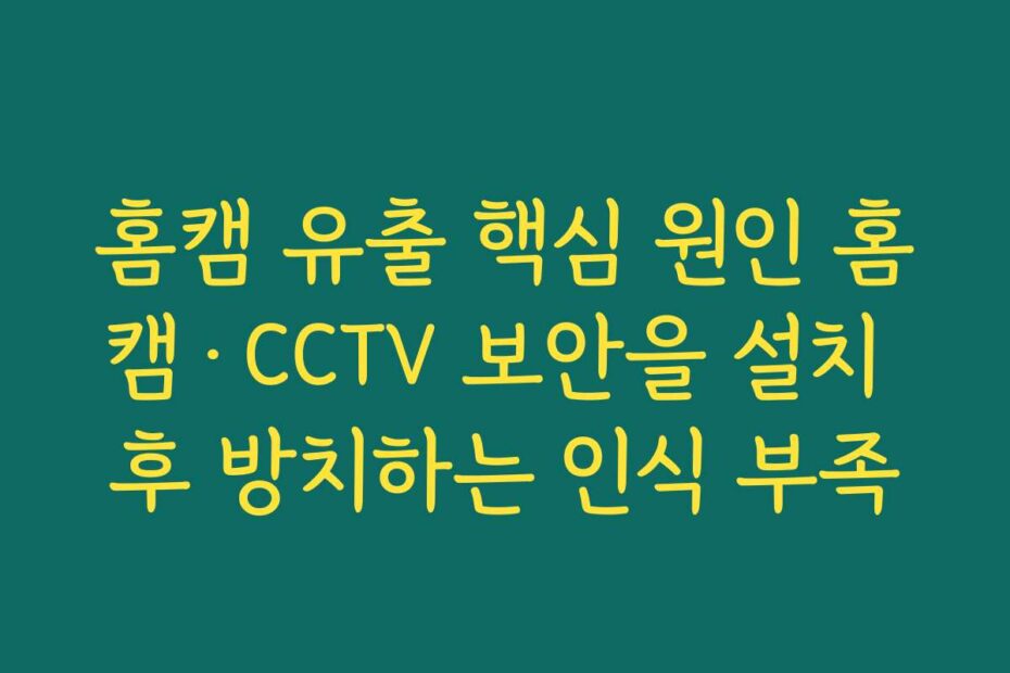 홈캠 유출 핵심 원인 홈캠·CCTV 보안을 설치 후 방치하는 인식 부족