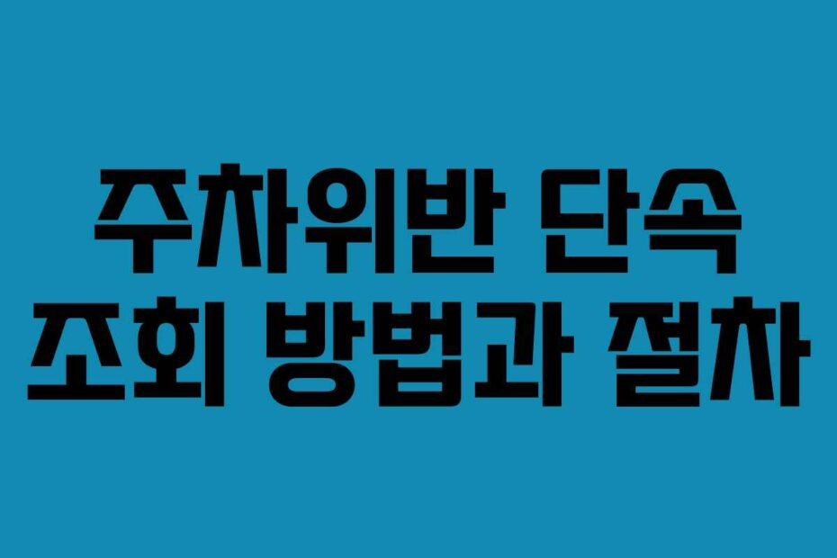 주차위반 단속 조회 방법과 절차