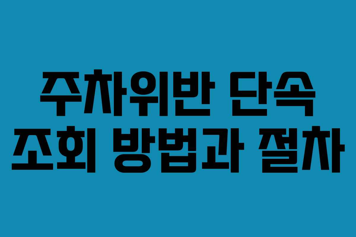 주차위반 단속 조회 방법과 절차