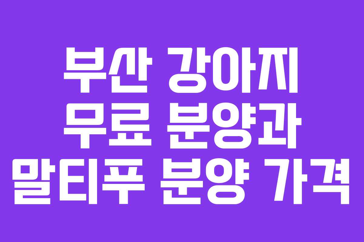 부산 강아지 무료 분양과 말티푸 분양 가격