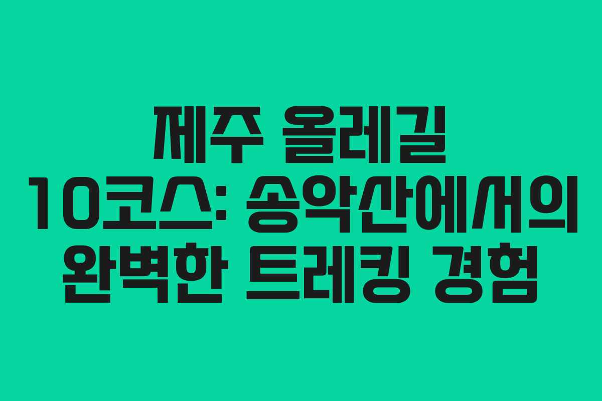 제주 올레길 10코스: 송악산에서의 완벽한 트레킹 경험