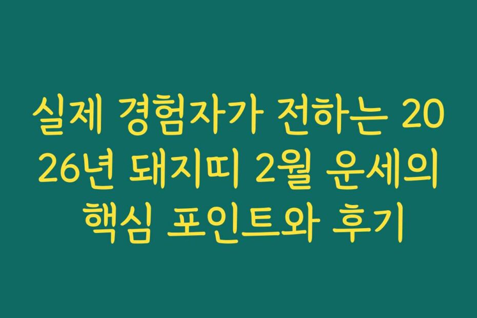 실제 경험자가 전하는 2026년 돼지띠 2월 운세의 핵심 포인트와 후기
