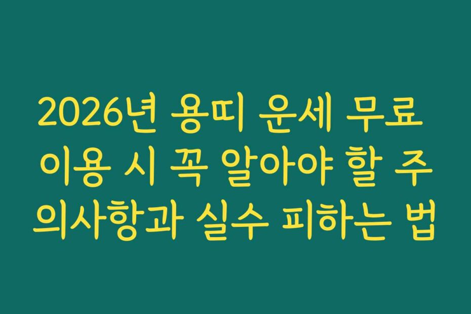 2026년 용띠 운세 무료 이용 시 꼭 알아야 할 주의사항과 실수 피하는 법