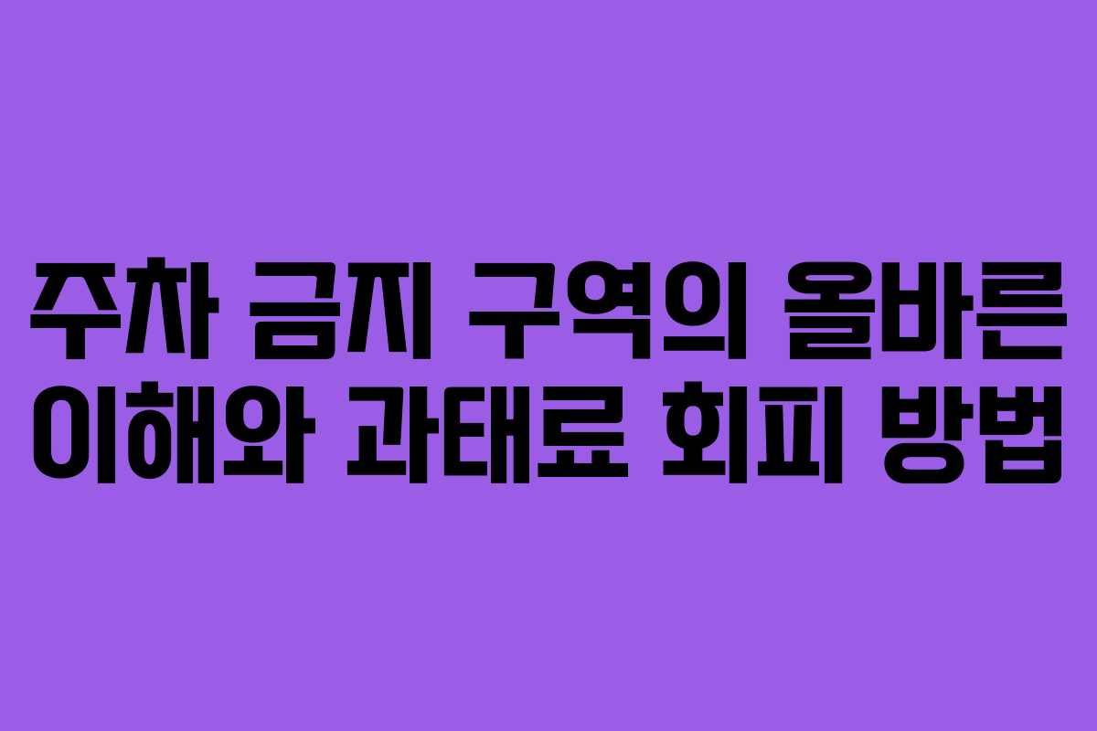 주차 금지 구역의 올바른 이해와 과태료 회피 방법