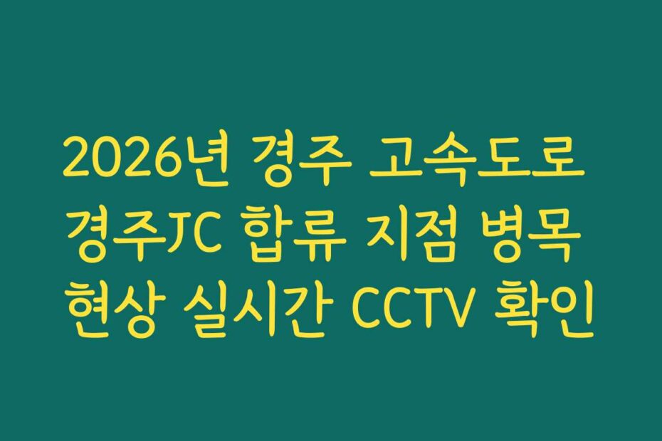 2026년 경주 고속도로 경주JC 합류 지점 병목 현상 실시간 CCTV 확인