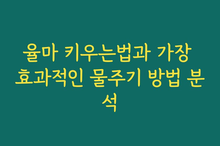 율마 키우는법과 가장 효과적인 물주기 방법 분석