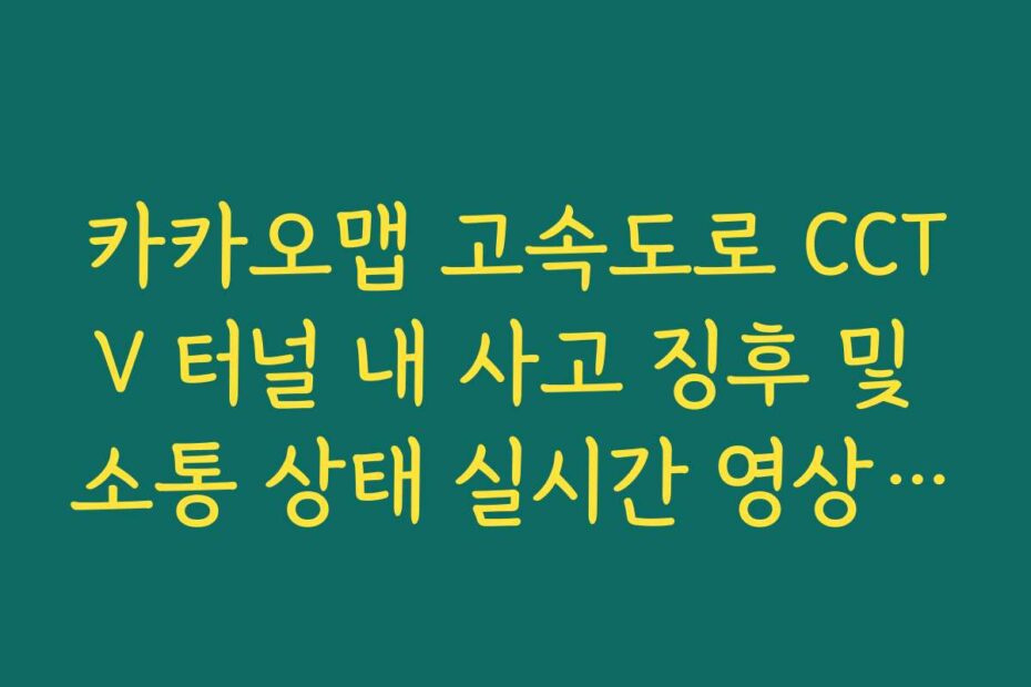카카오맵 고속도로 CCTV 터널 내 사고 징후 및 소통 상태 실시간 영상 보기