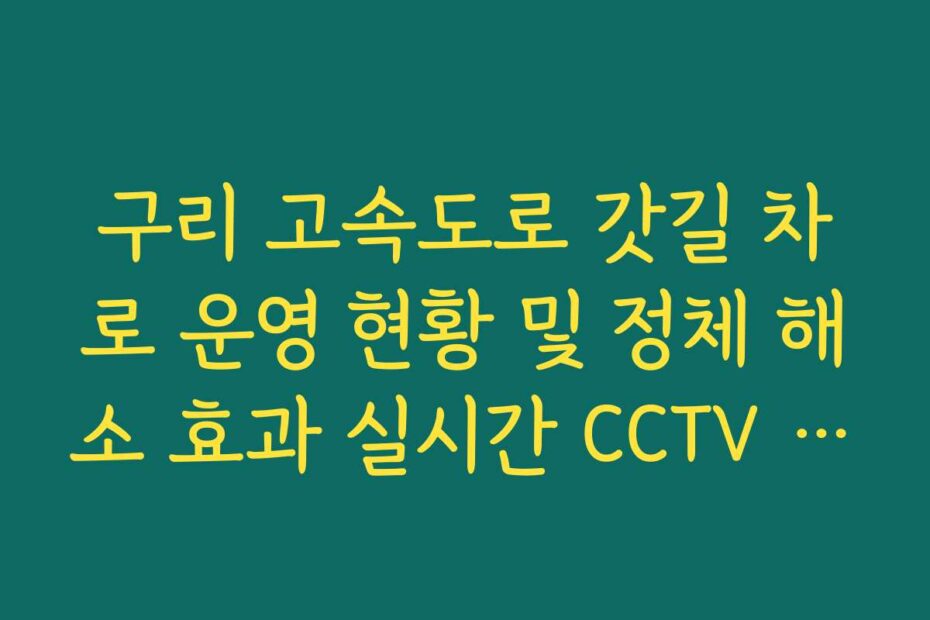 구리 고속도로 갓길 차로 운영 현황 및 정체 해소 효과 실시간 CCTV 확인