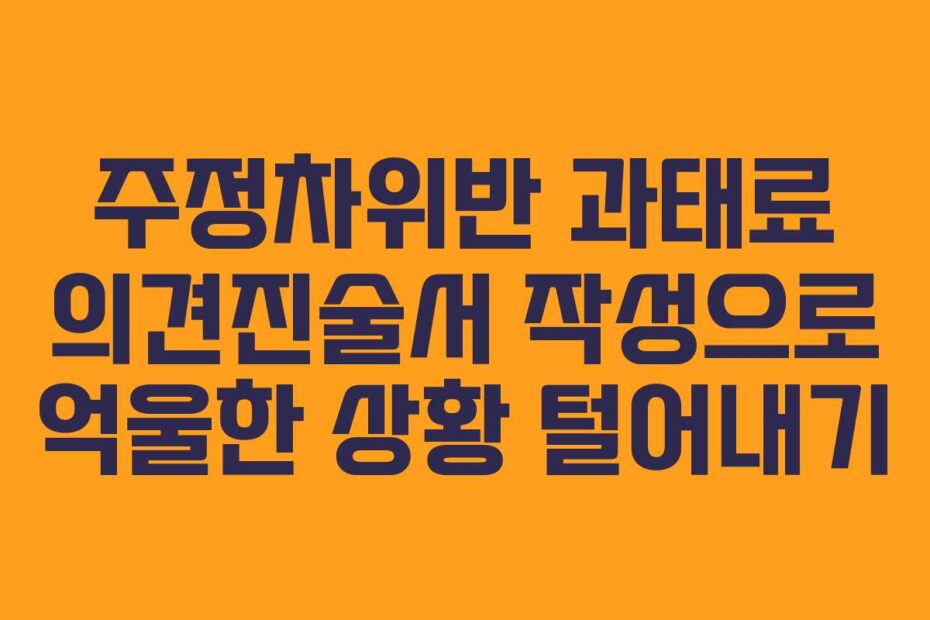 주정차위반 과태료 의견진술서 작성으로 억울한 상황 털어내기