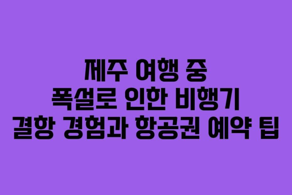 제주 여행 중 폭설로 인한 비행기 결항 경험과 항공권 예약 팁