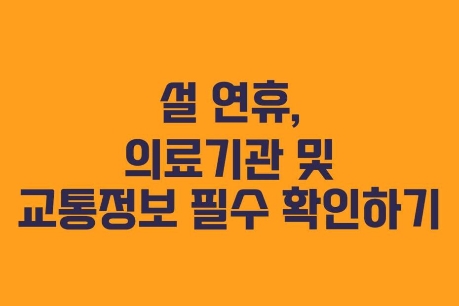 설 연휴, 의료기관 및 교통정보 필수 확인하기
