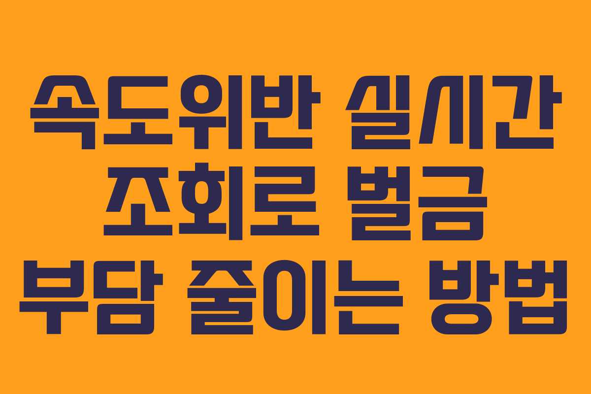 속도위반 실시간 조회로 벌금 부담 줄이는 방법