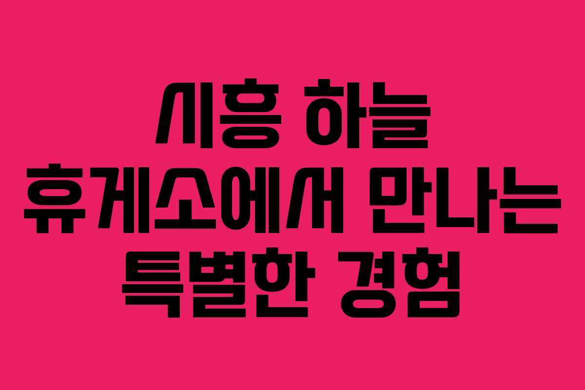 시흥 하늘 휴게소에서 만나는 특별한 경험