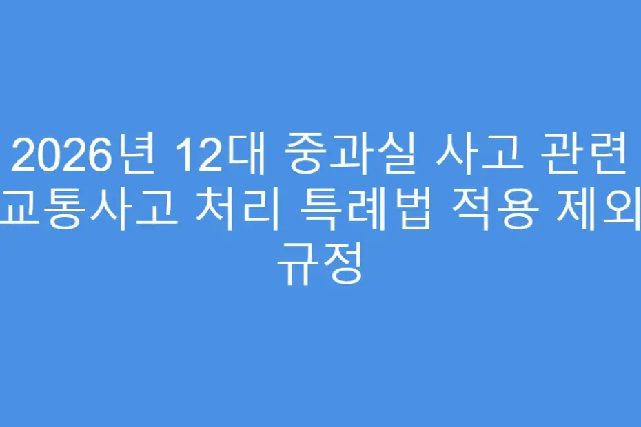 2026년 12대 중과실 사고 관련 교통사고 처리 특례법 적용 제외 규정