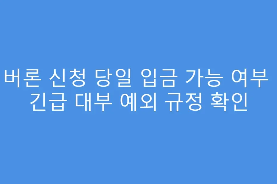 실버론 신청 당일 입금 가능 여부 및 긴급 대부 예외 규정 확인