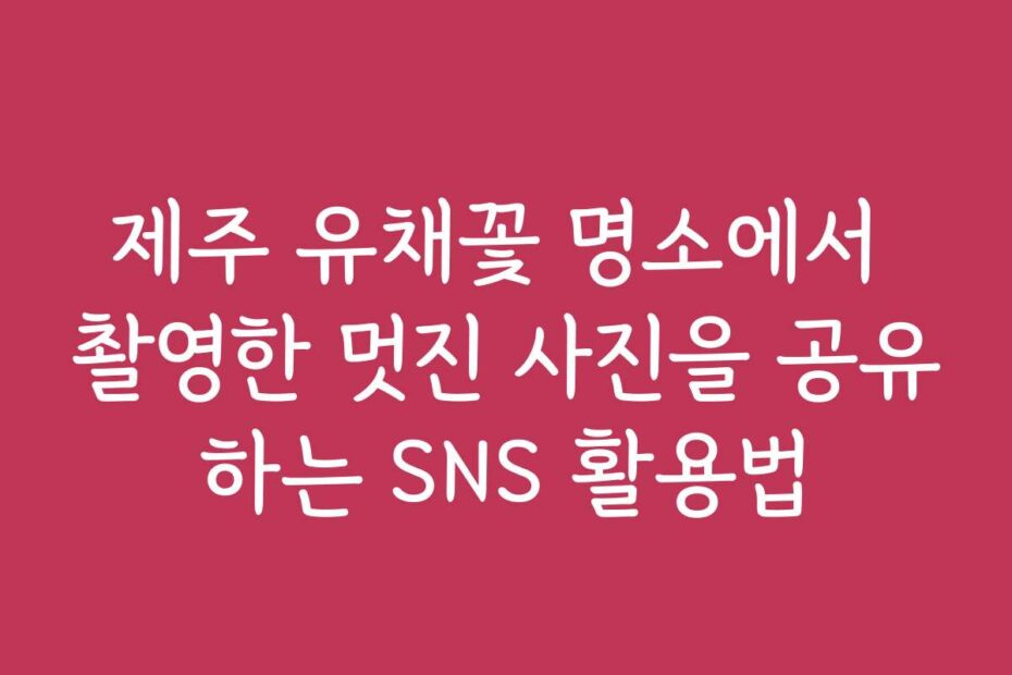 제주 유채꽃 명소에서 촬영한 멋진 사진을 공유하는 SNS 활용법
