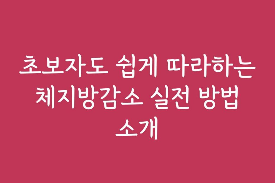 초보자도 쉽게 따라하는 체지방감소 실전 방법 소개