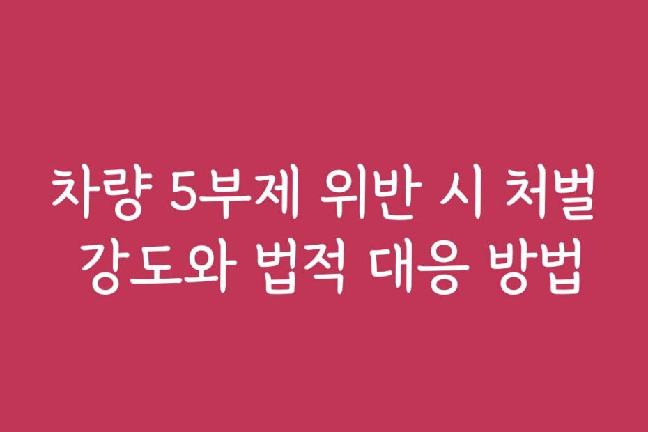 차량 5부제 위반 시 처벌 강도와 법적 대응 방법