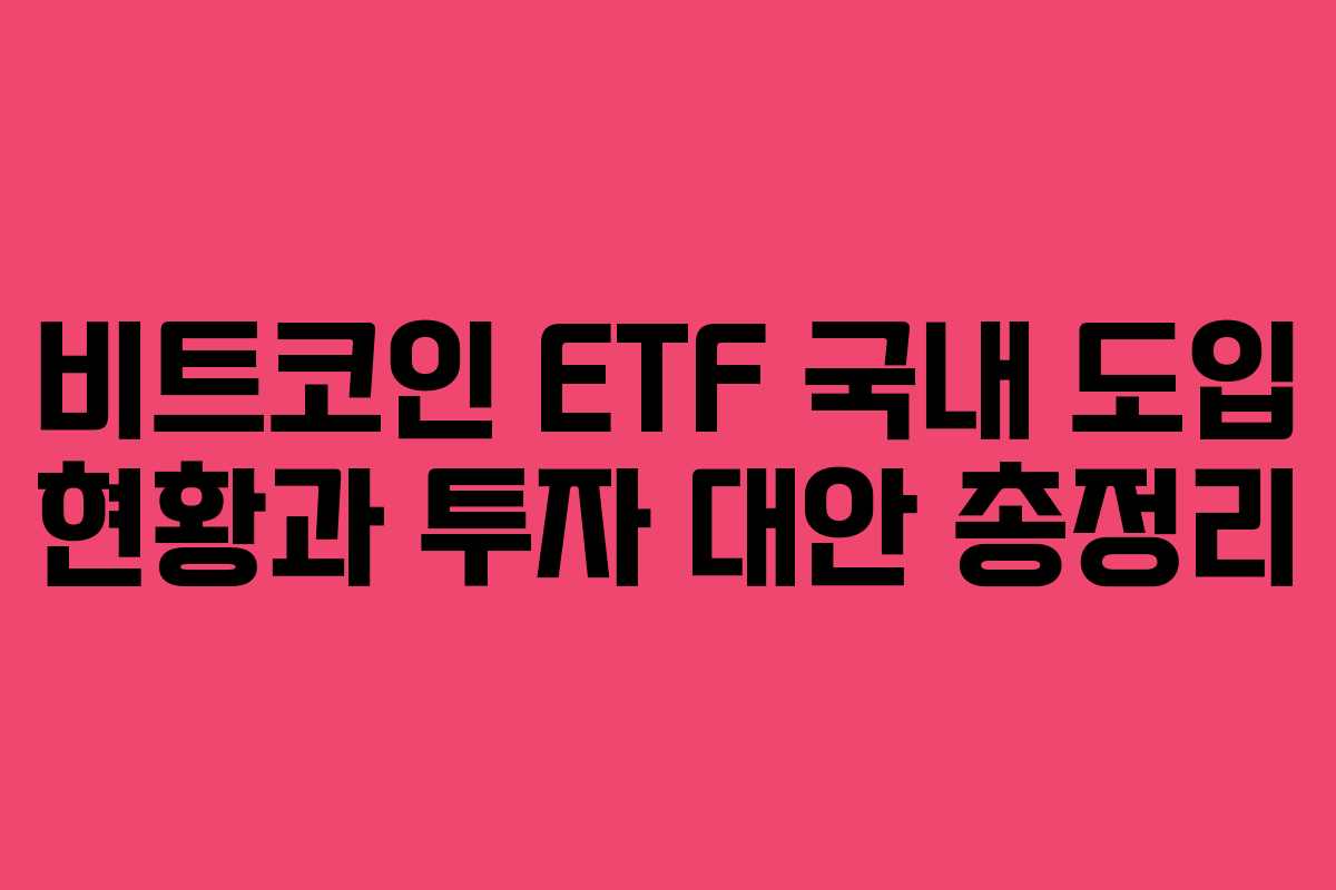 비트코인 ETF 국내 도입 현황과 투자 대안 총정리