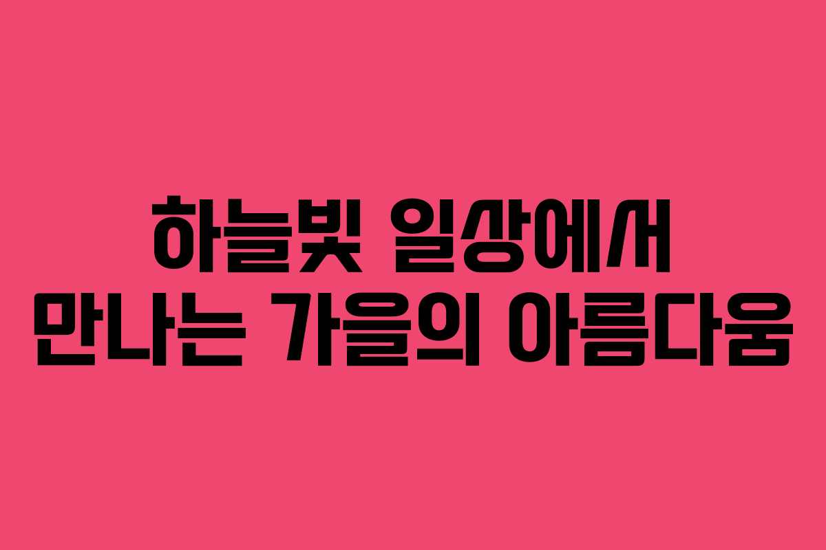 하늘빛 일상에서 만나는 가을의 아름다움