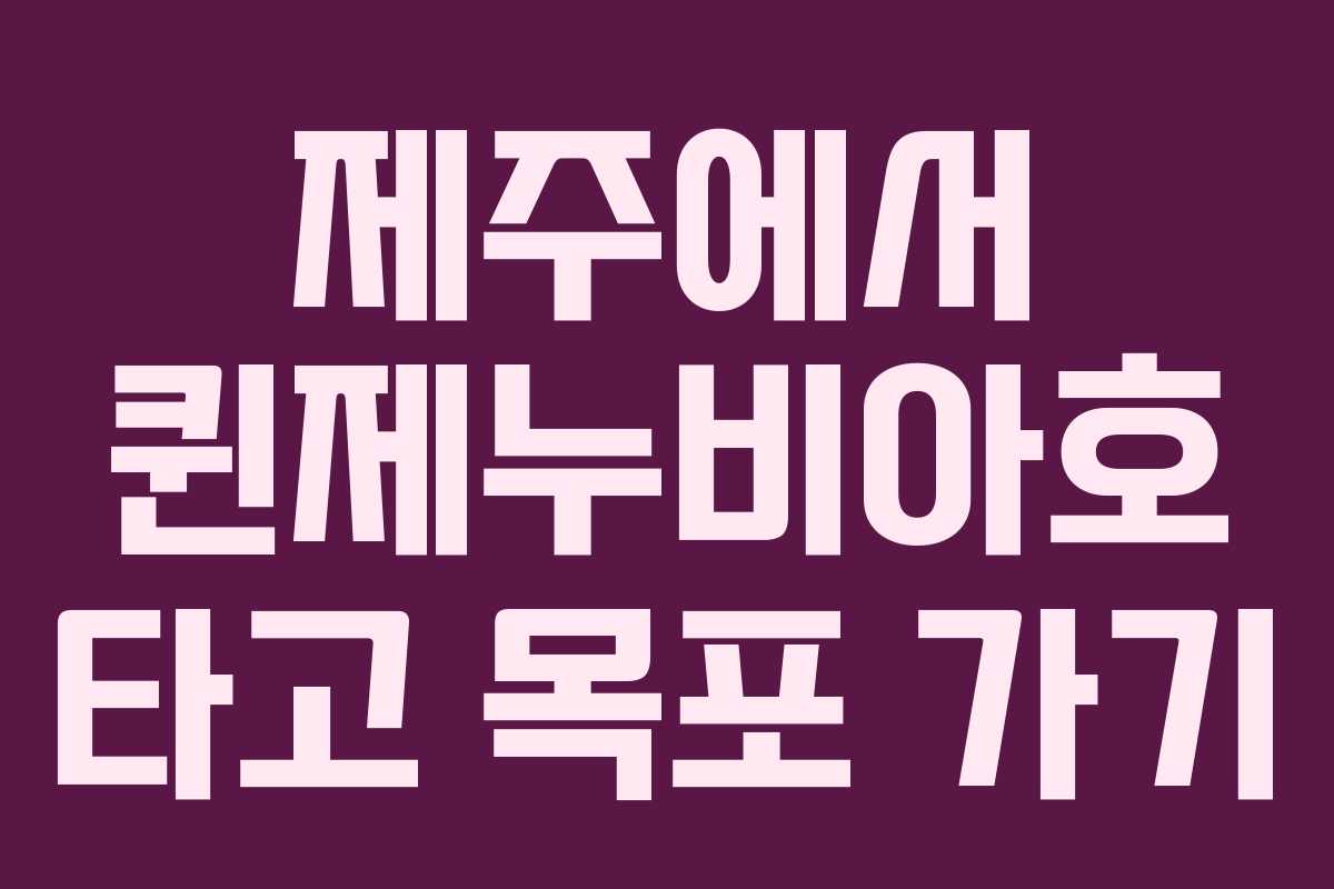 제주에서 퀸제누비아호 타고 목포 가기
