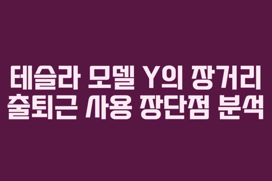 테슬라 모델 Y의 장거리 출퇴근 사용 장단점 분석