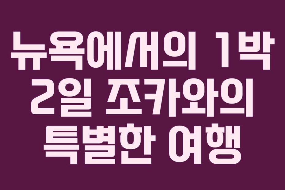 뉴욕에서의 1박 2일 조카와의 특별한 여행