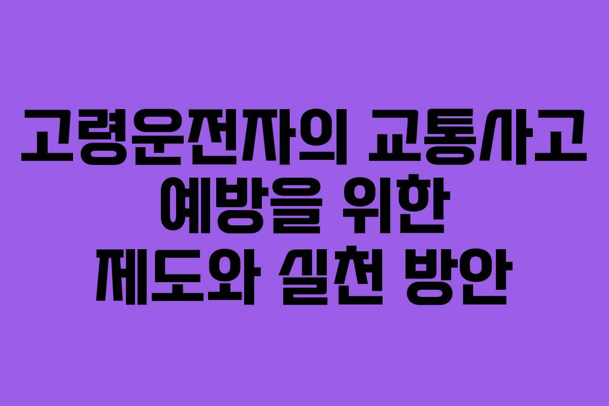 고령운전자의 교통사고 예방을 위한 제도와 실천 방안