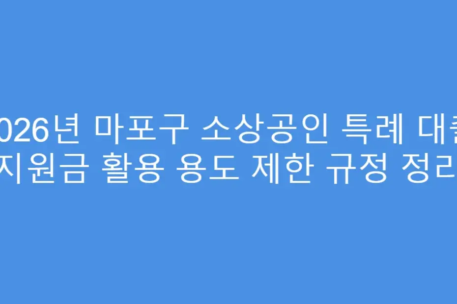 2026년 마포구 소상공인 특례 대출 지원금 활용 용도 제한 규정 정리