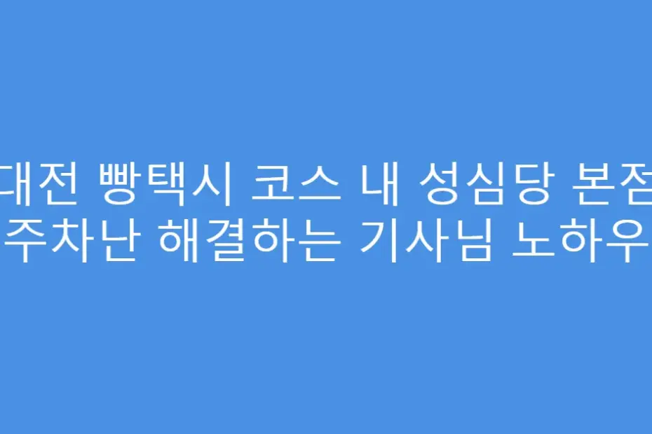 대전 빵택시 코스 내 성심당 본점 주차난 해결하는 기사님 노하우