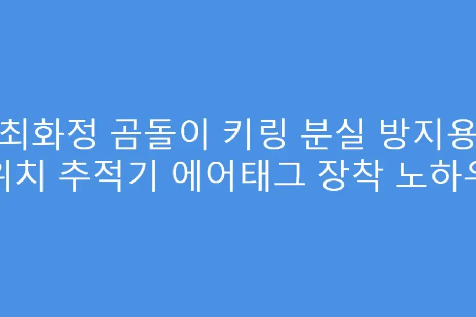 최화정 곰돌이 키링 분실 방지용 위치 추적기 에어태그 장착 노하우